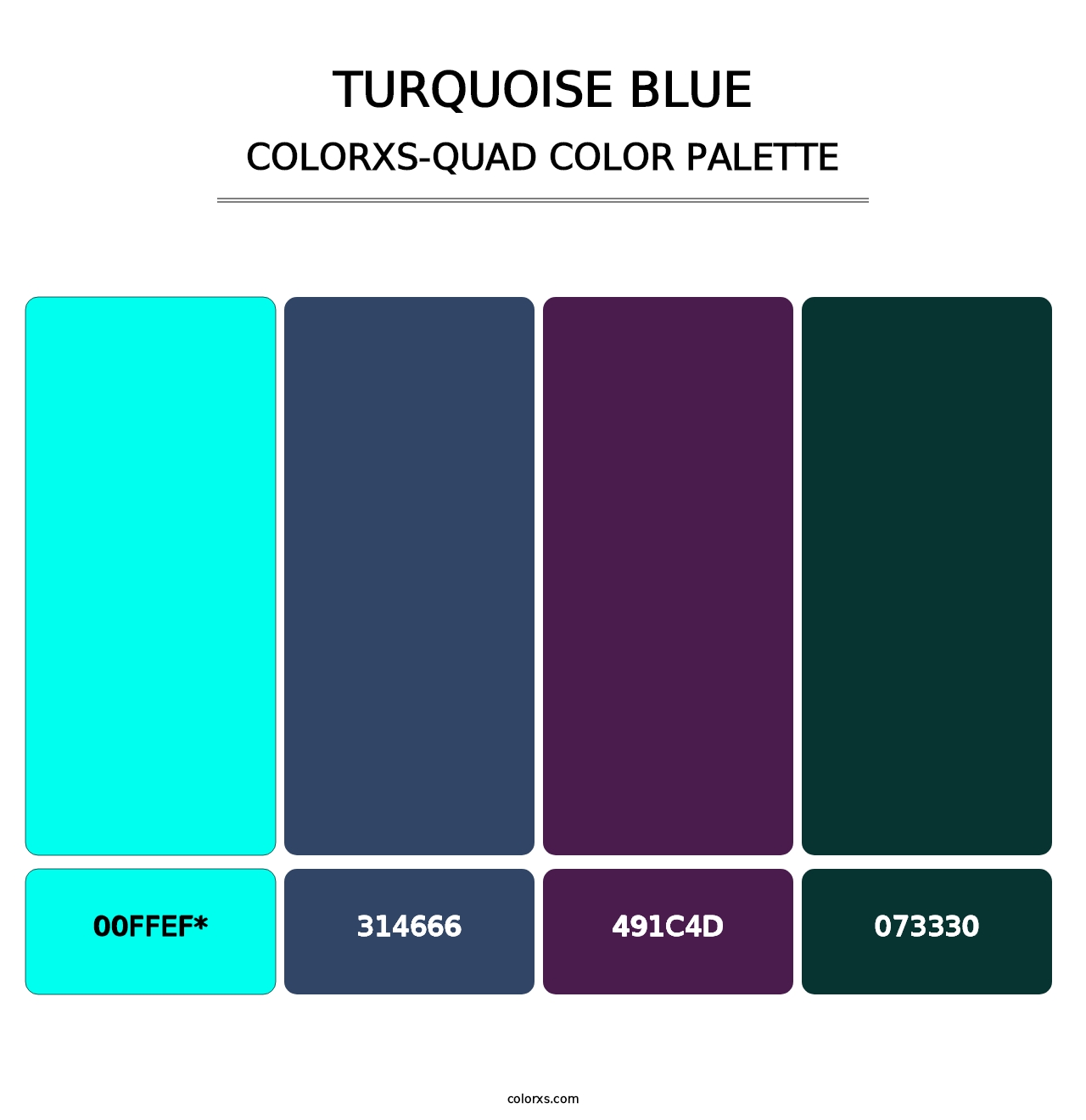 Turquoise Blue - Colorxs Quad Palette