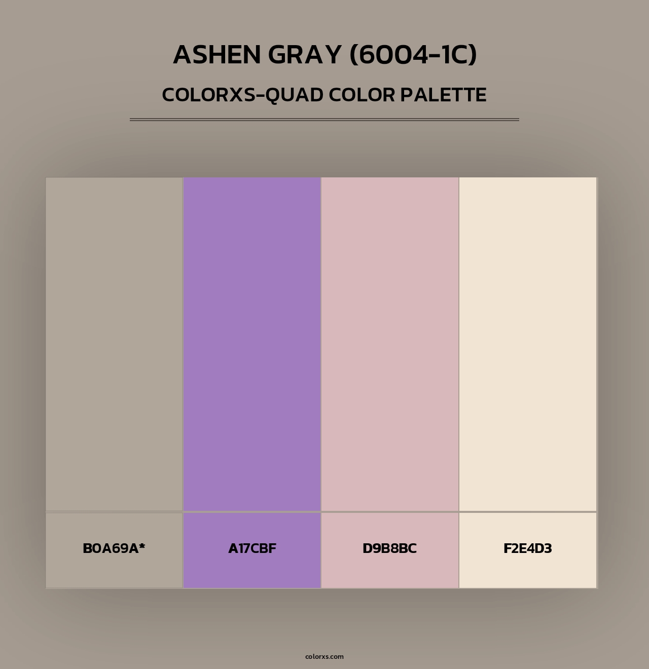 Ashen Gray (6004-1C) - Colorxs Quad Palette