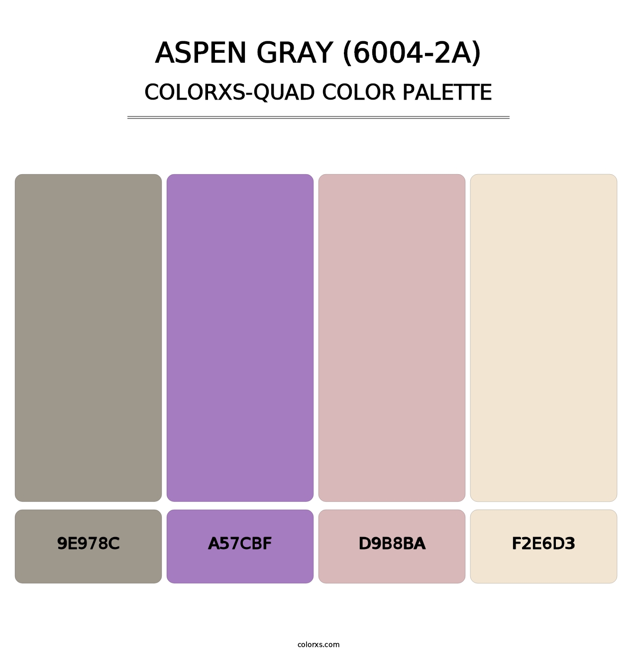 Aspen Gray (6004-2A) - Colorxs Quad Palette