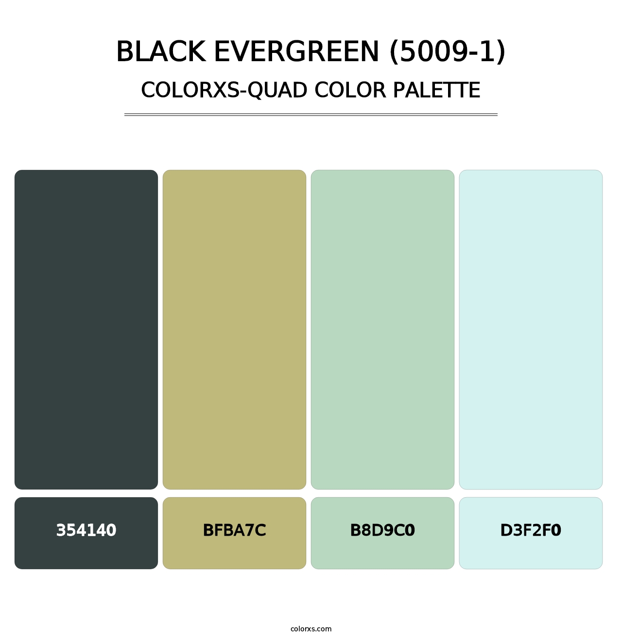 Black Evergreen (5009-1) - Colorxs Quad Palette