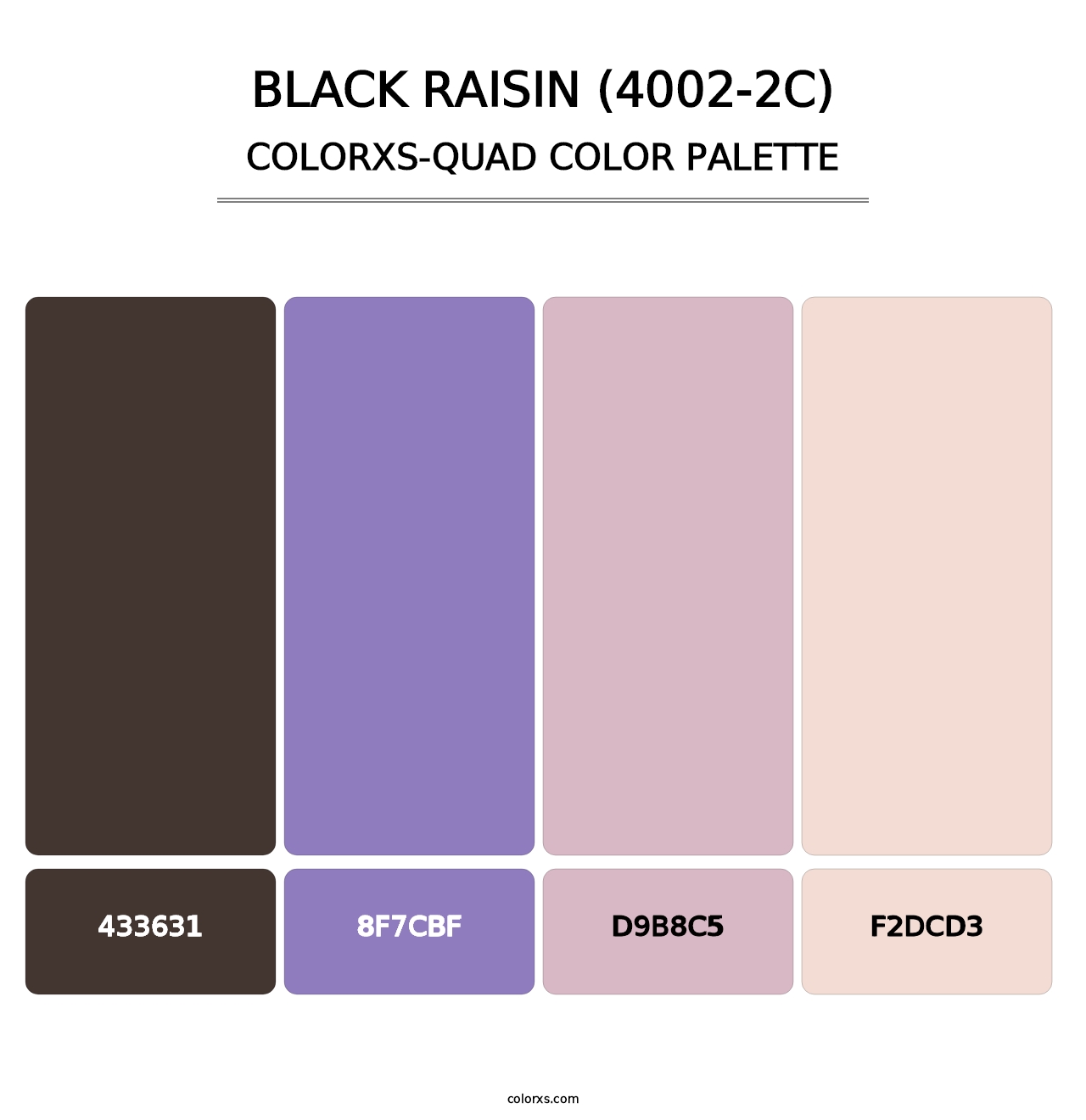 Black Raisin (4002-2C) - Colorxs Quad Palette
