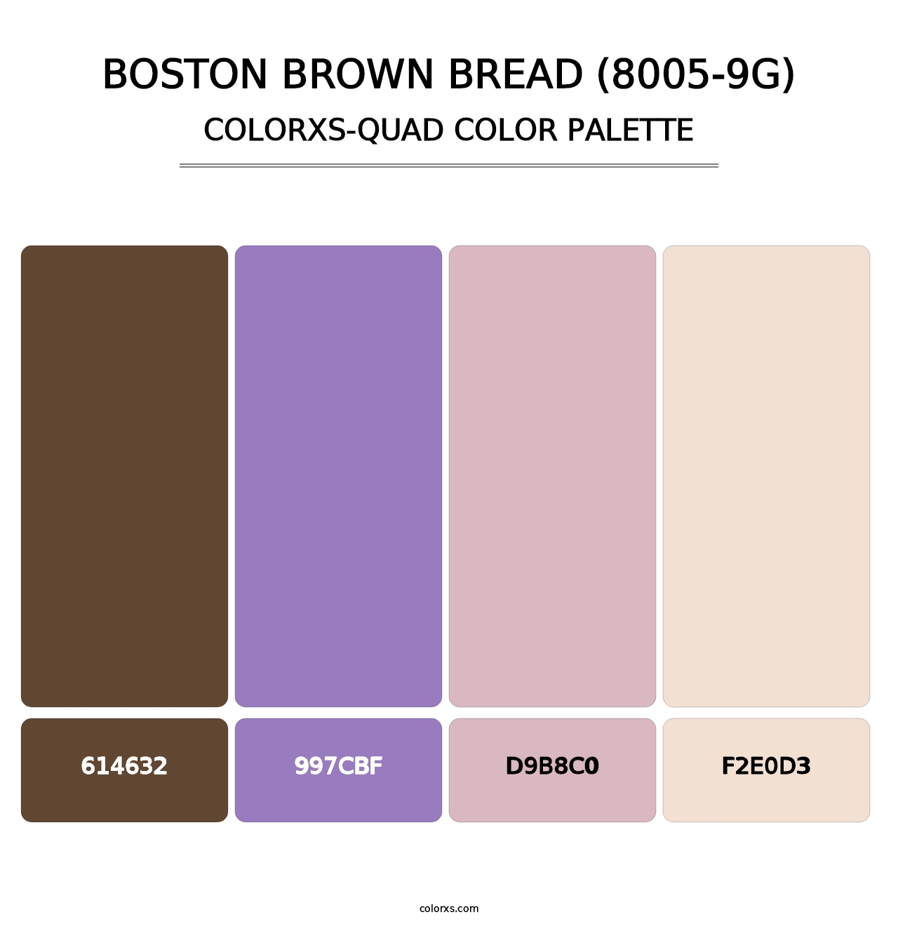 Boston Brown Bread (8005-9G) - Colorxs Quad Palette