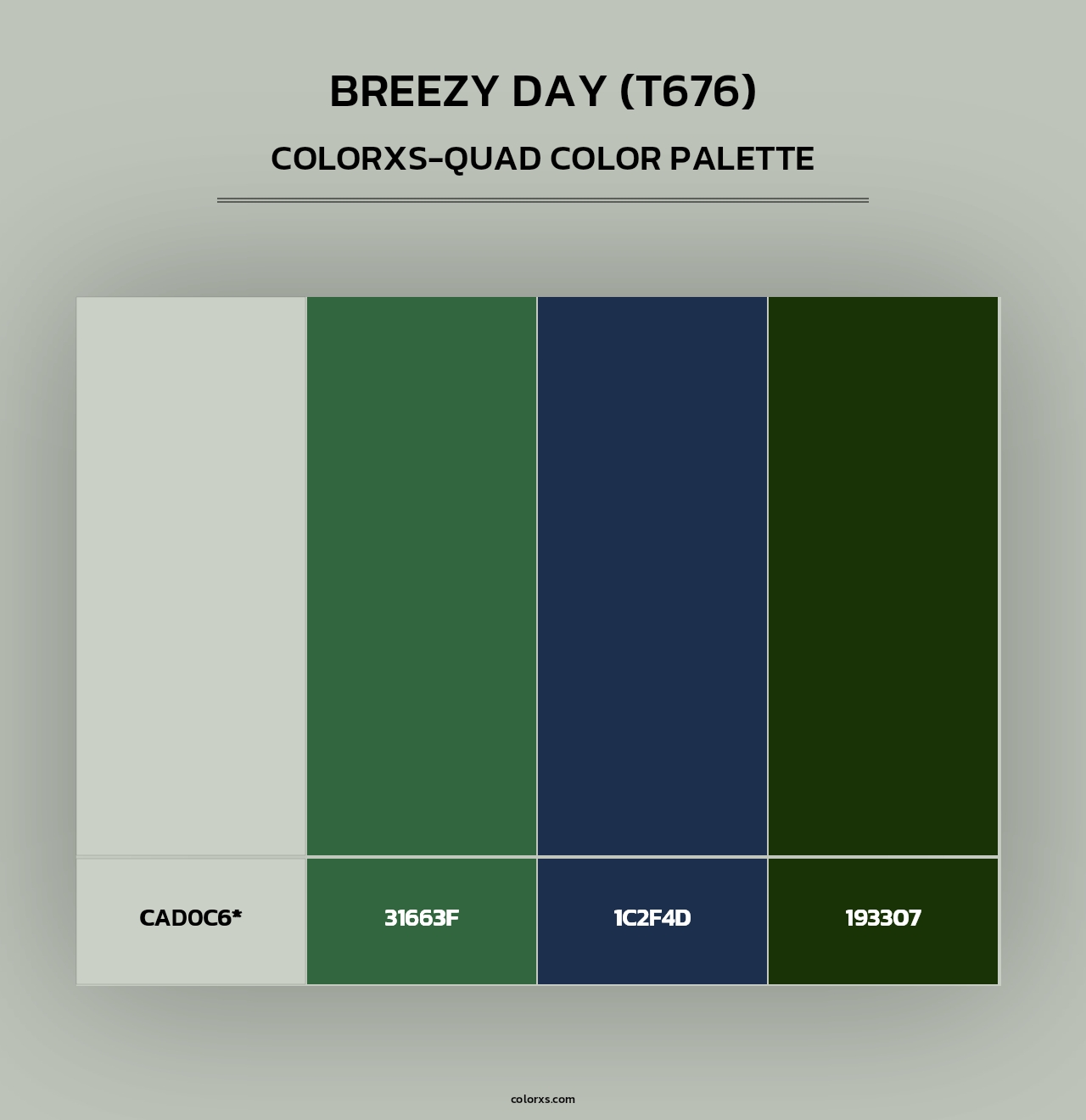 Breezy Day (T676) - Colorxs Quad Palette
