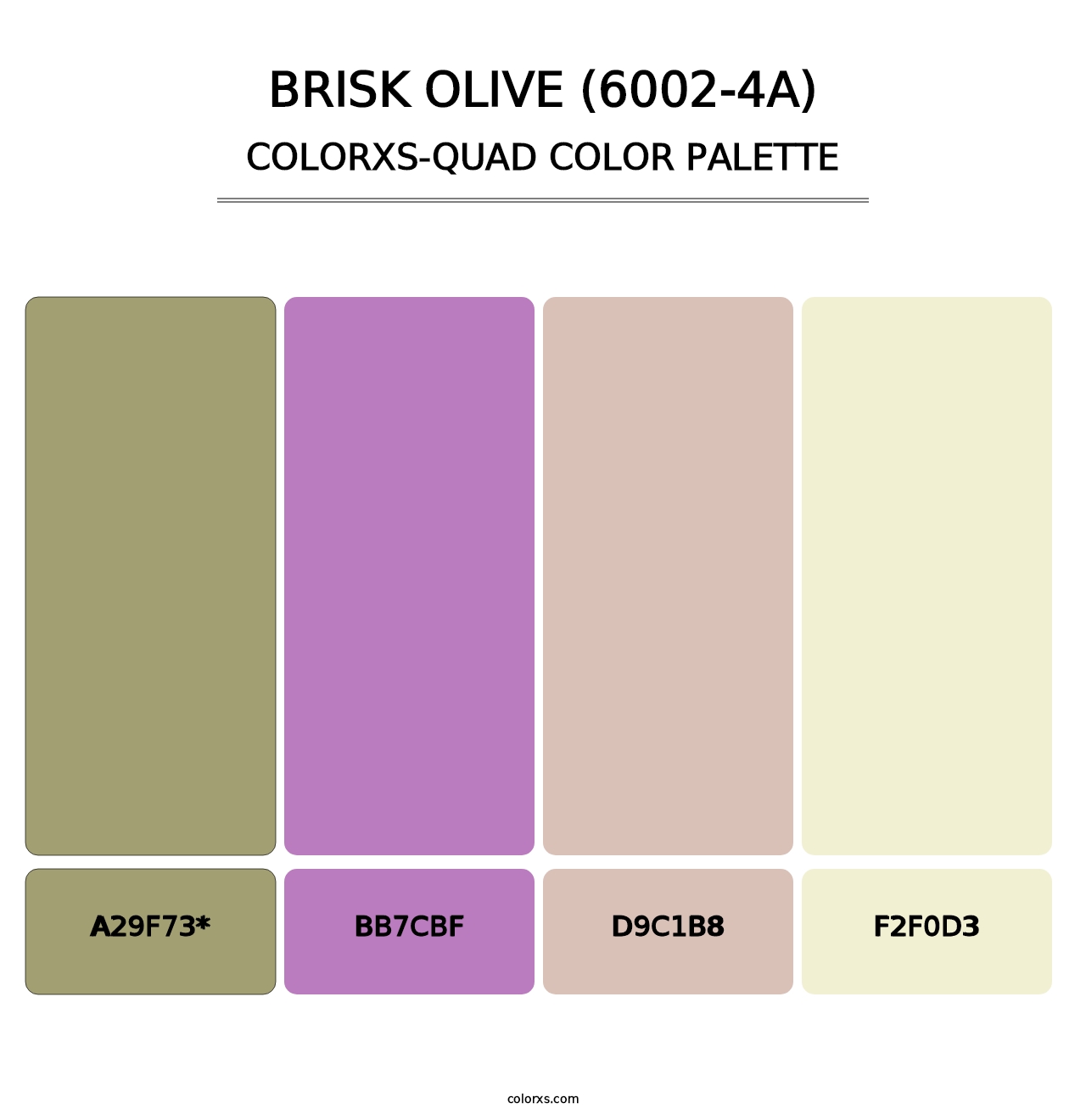 Brisk Olive (6002-4A) - Colorxs Quad Palette
