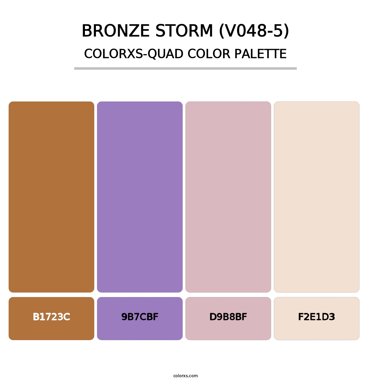 Bronze Storm (V048-5) - Colorxs Quad Palette