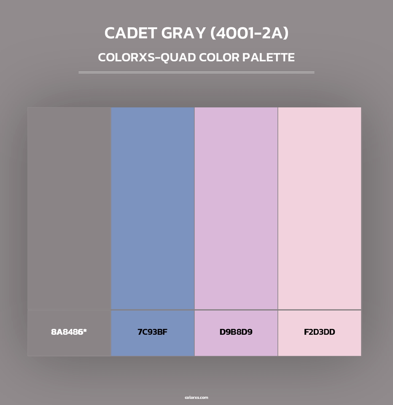 Cadet Gray (4001-2A) - Colorxs Quad Palette