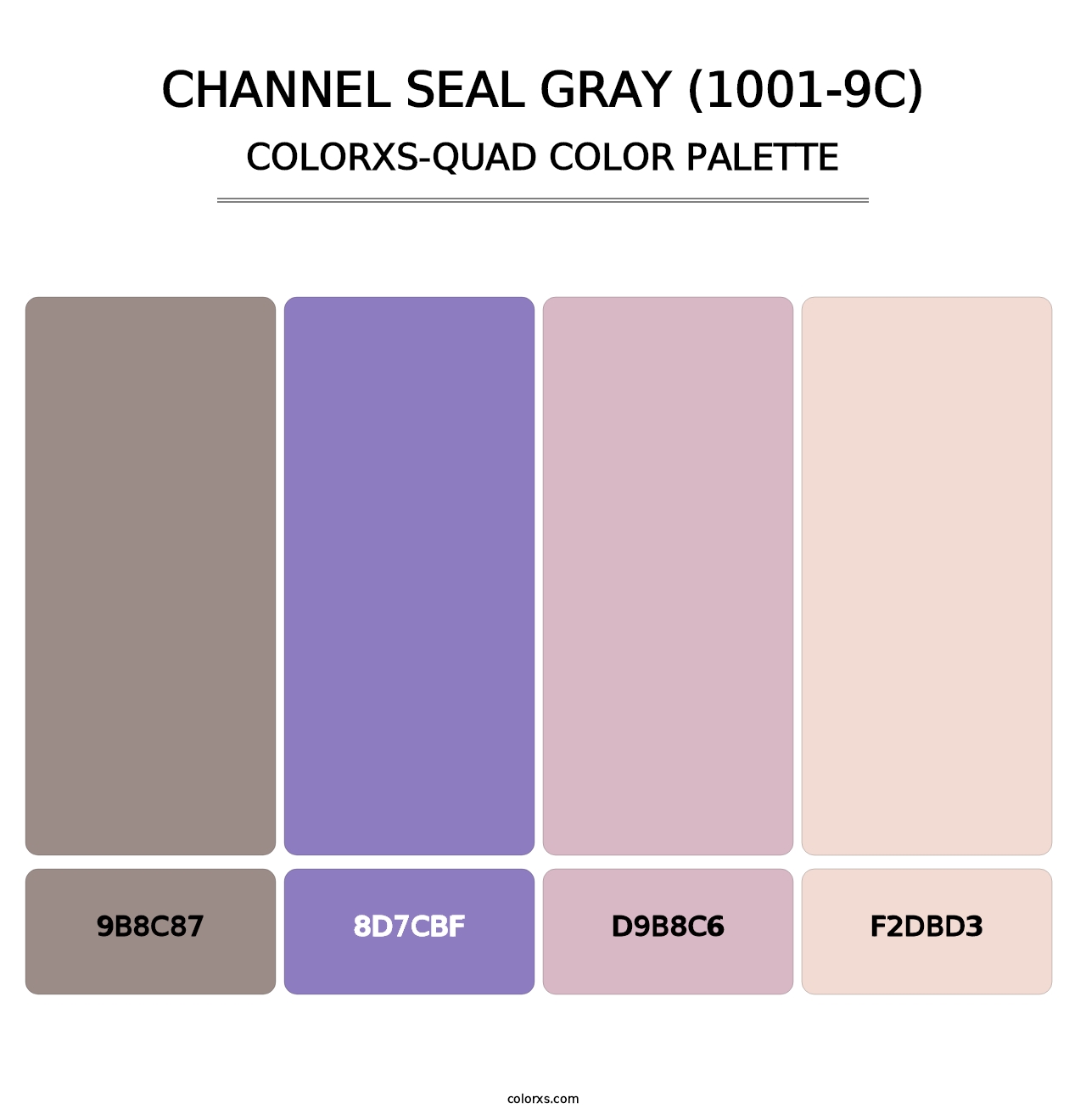 Channel Seal Gray (1001-9C) - Colorxs Quad Palette
