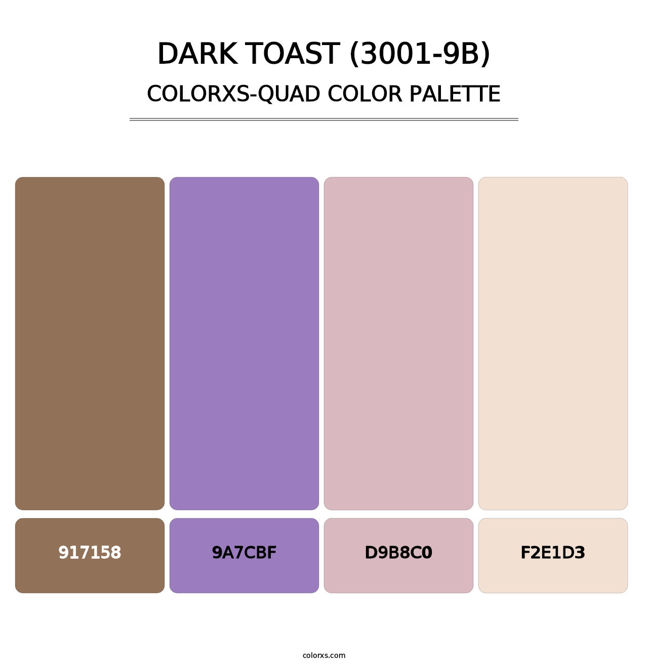 Dark Toast (3001-9B) - Colorxs Quad Palette