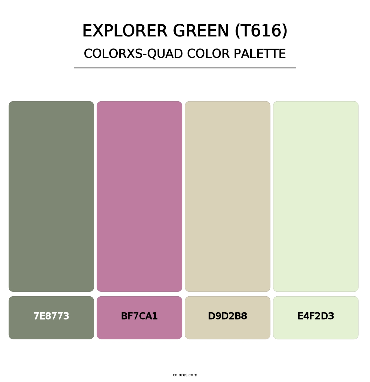 Explorer Green (T616) - Colorxs Quad Palette