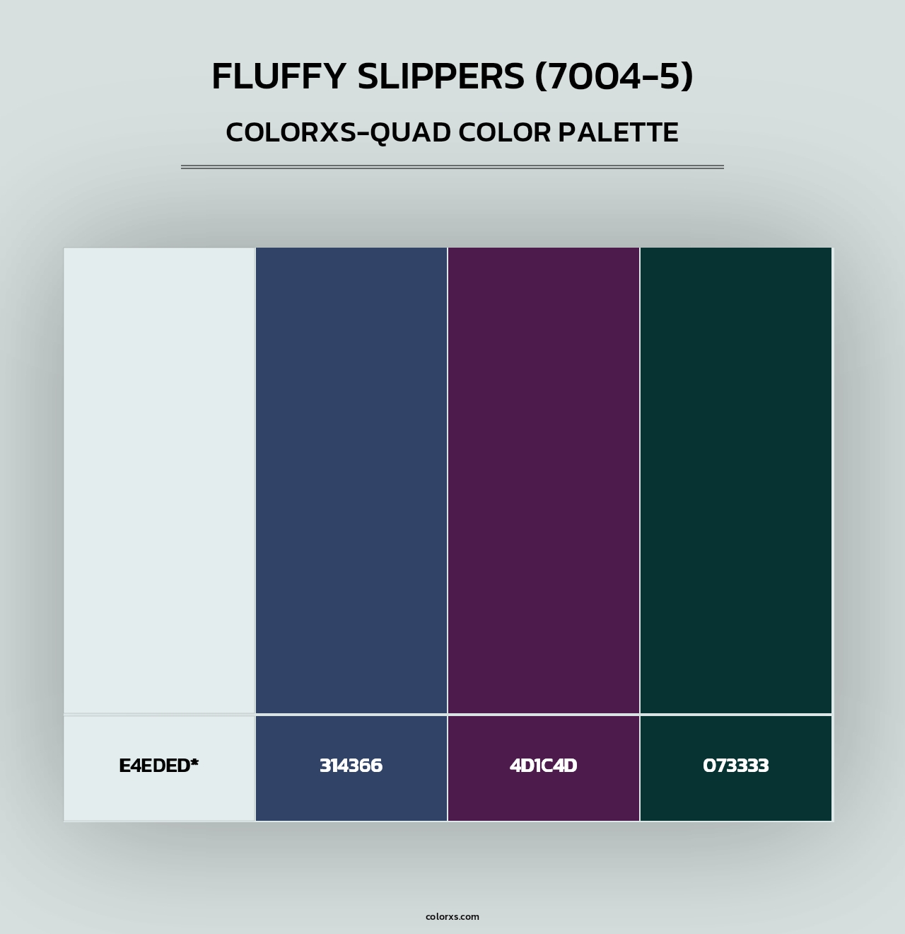 Fluffy Slippers (7004-5) - Colorxs Quad Palette