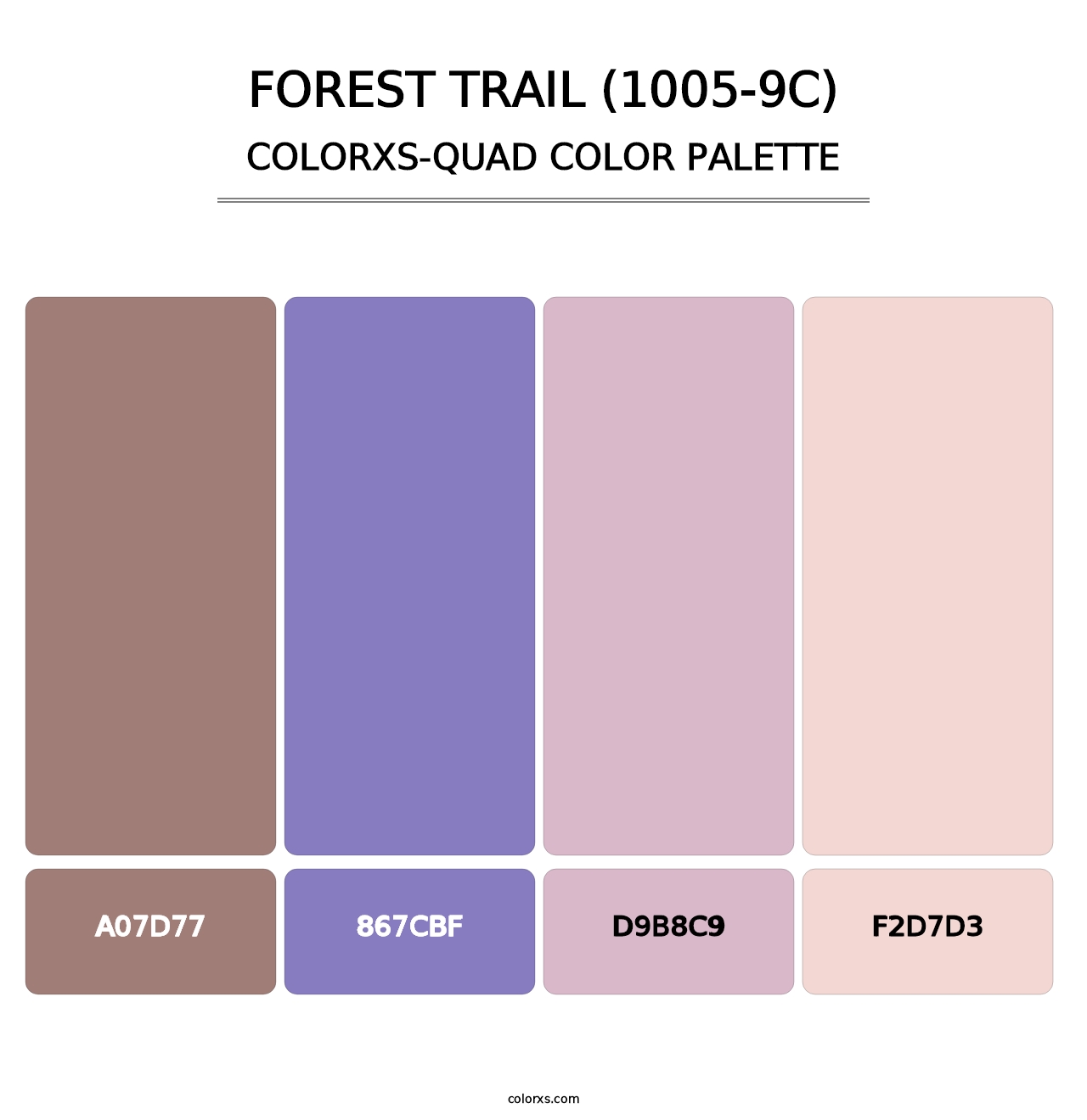 Forest Trail (1005-9C) - Colorxs Quad Palette