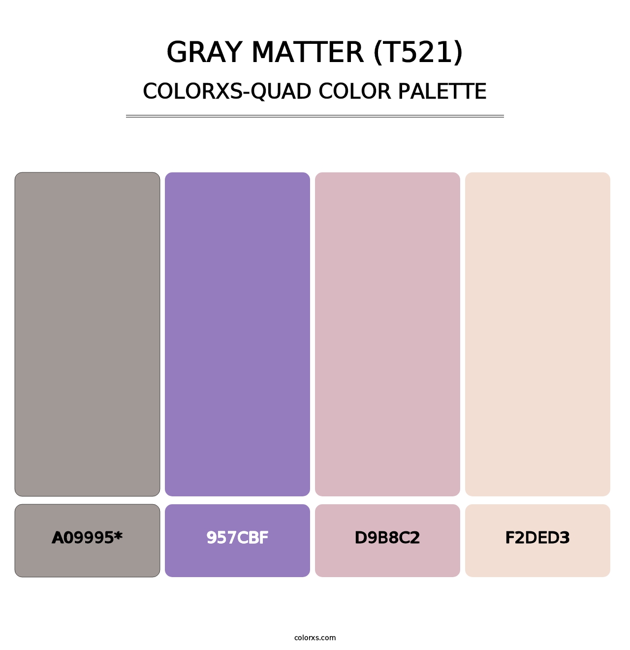 Gray Matter (T521) - Colorxs Quad Palette