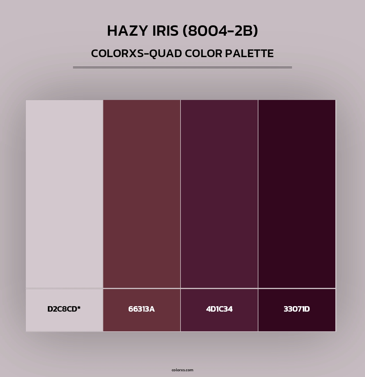 Hazy Iris (8004-2B) - Colorxs Quad Palette