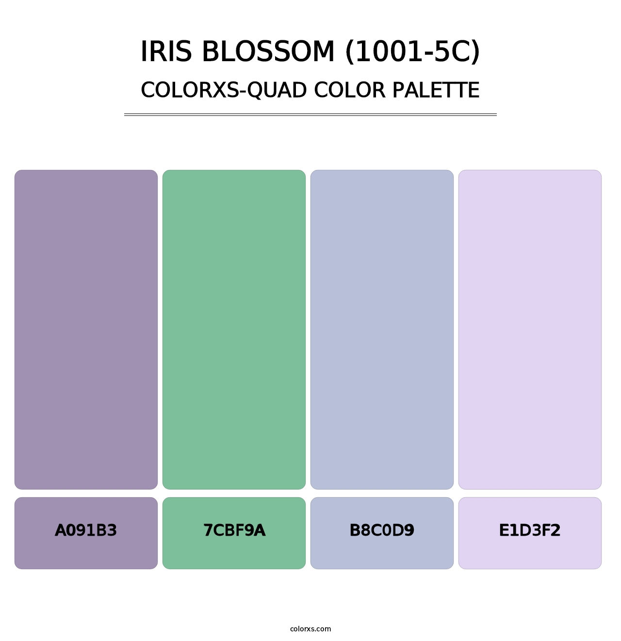 Iris Blossom (1001-5C) - Colorxs Quad Palette