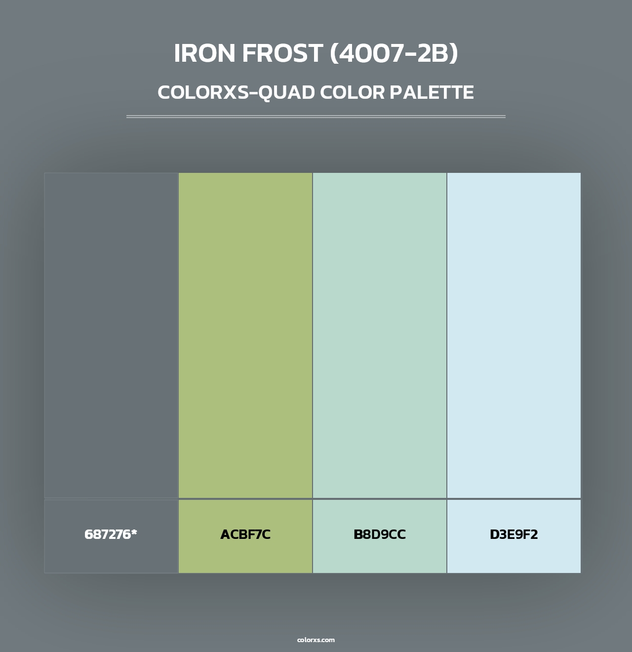 Iron Frost (4007-2B) - Colorxs Quad Palette