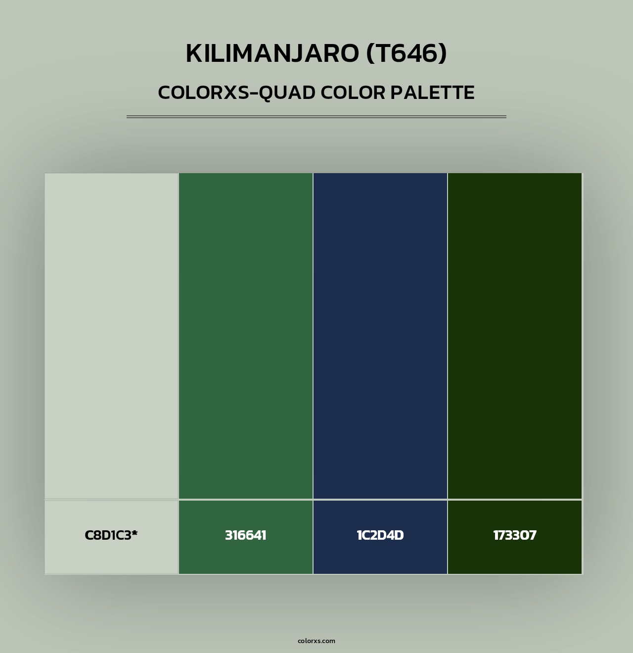 Kilimanjaro (T646) - Colorxs Quad Palette