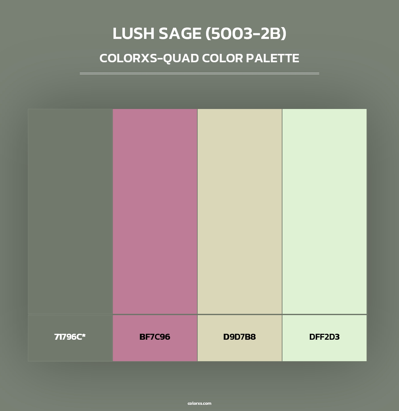 Lush Sage (5003-2B) - Colorxs Quad Palette