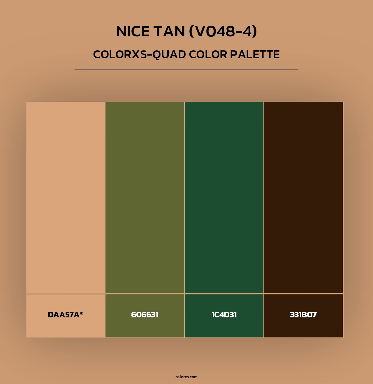 Nice Tan (V048-4) - Colorxs Quad Palette