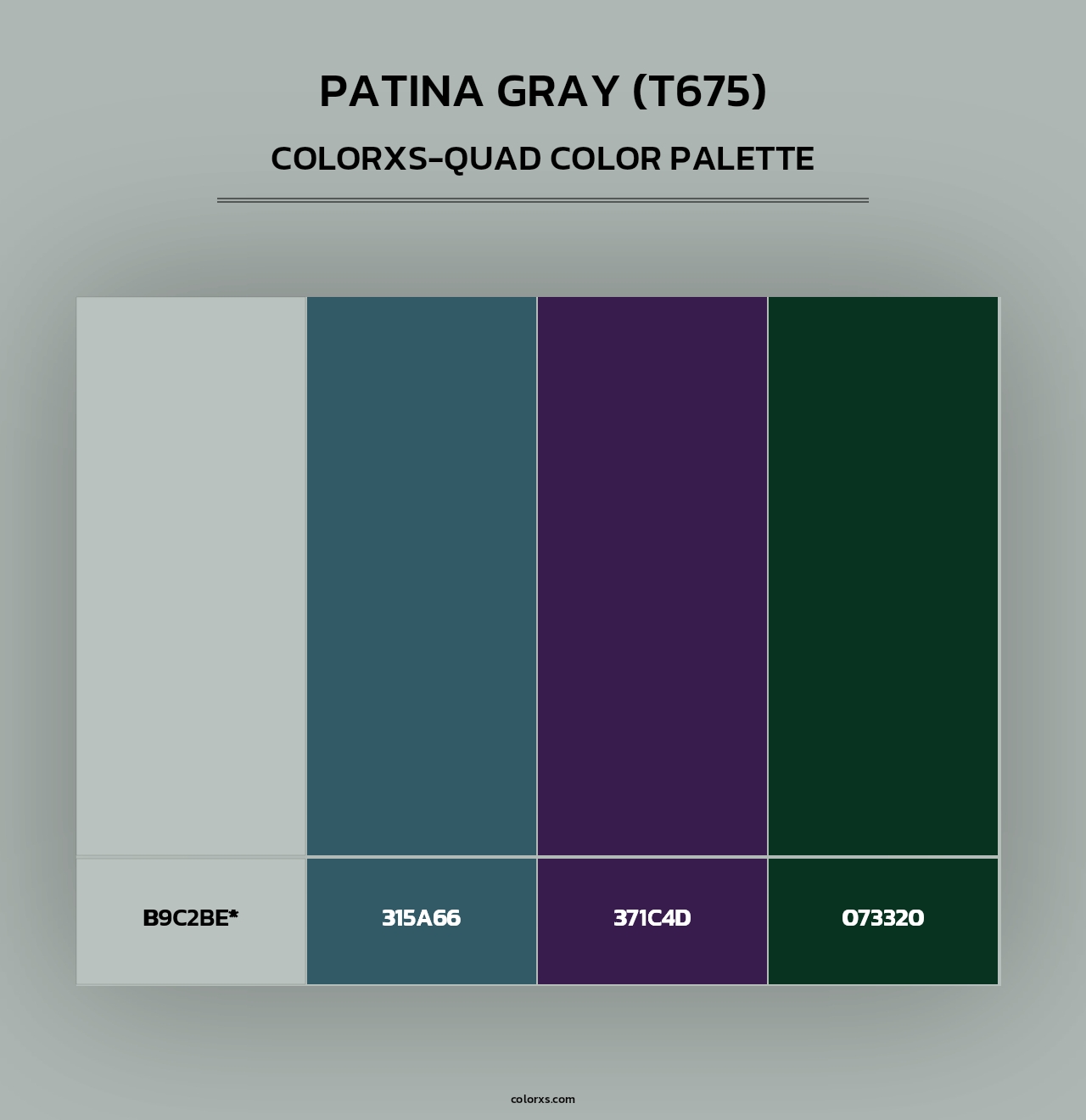 Patina Gray (T675) - Colorxs Quad Palette
