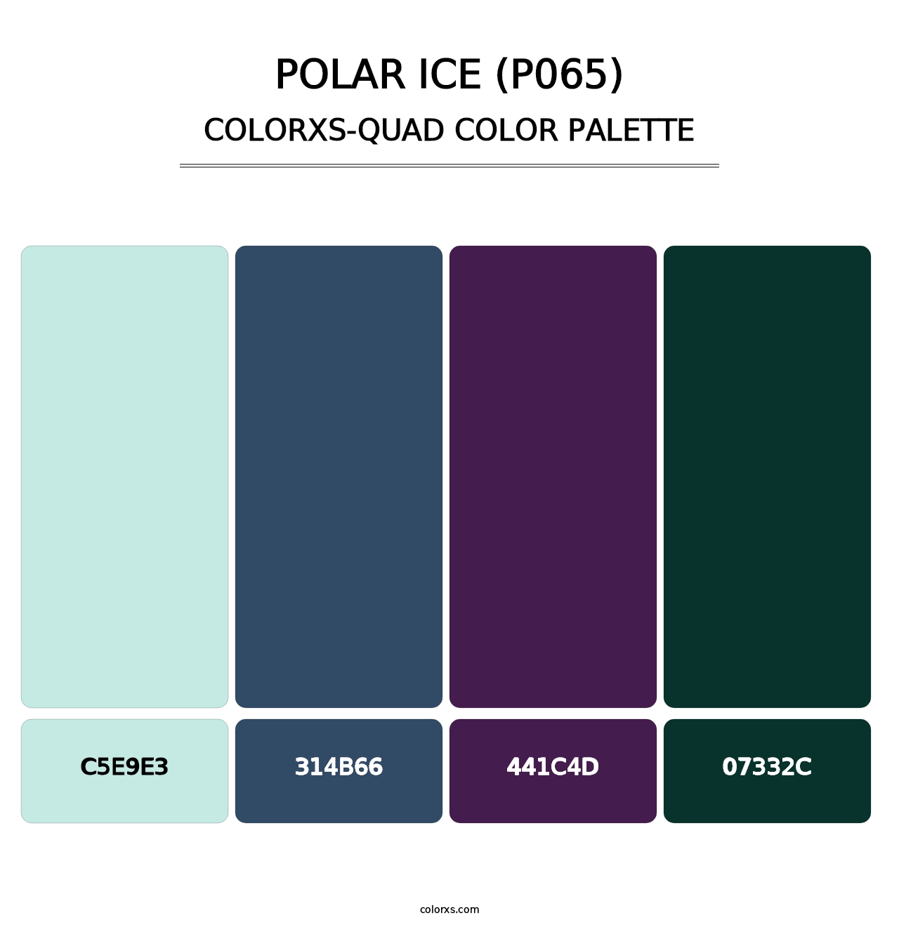 Polar Ice (P065) - Colorxs Quad Palette