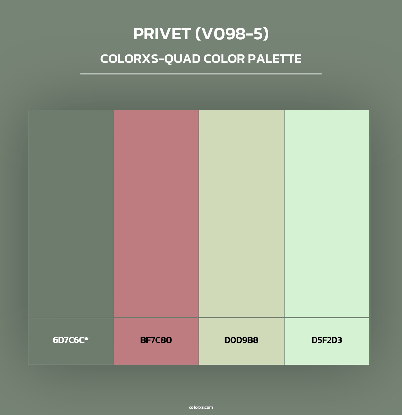Privet (V098-5) - Colorxs Quad Palette
