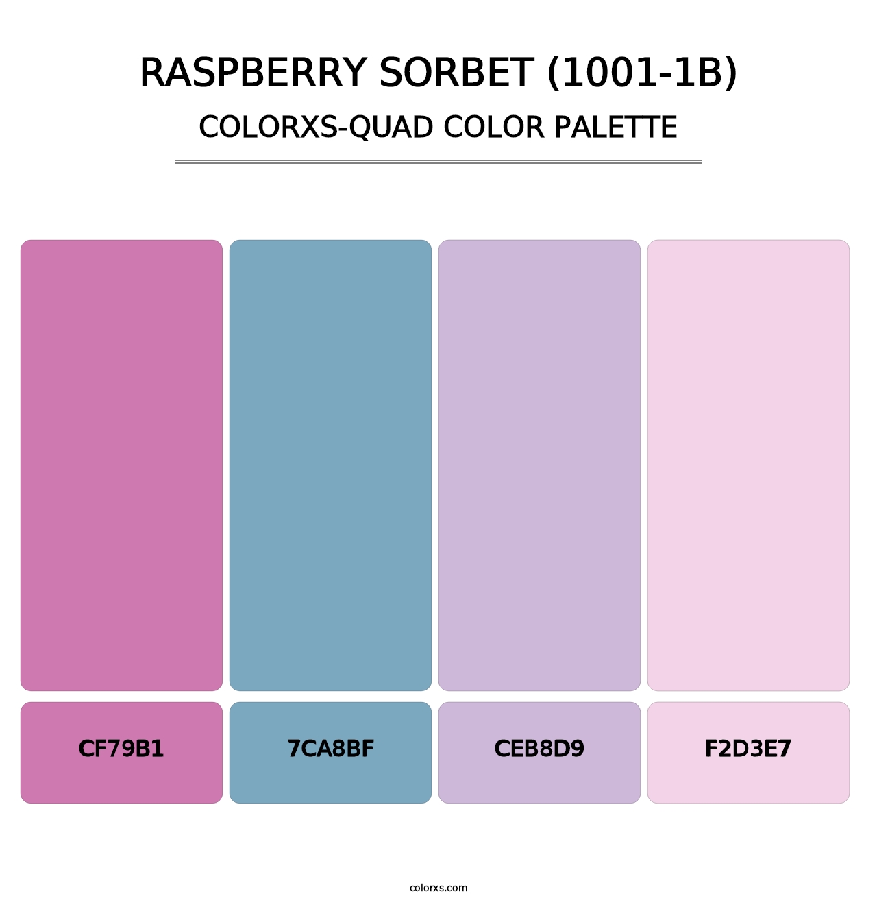 Raspberry Sorbet (1001-1B) - Colorxs Quad Palette