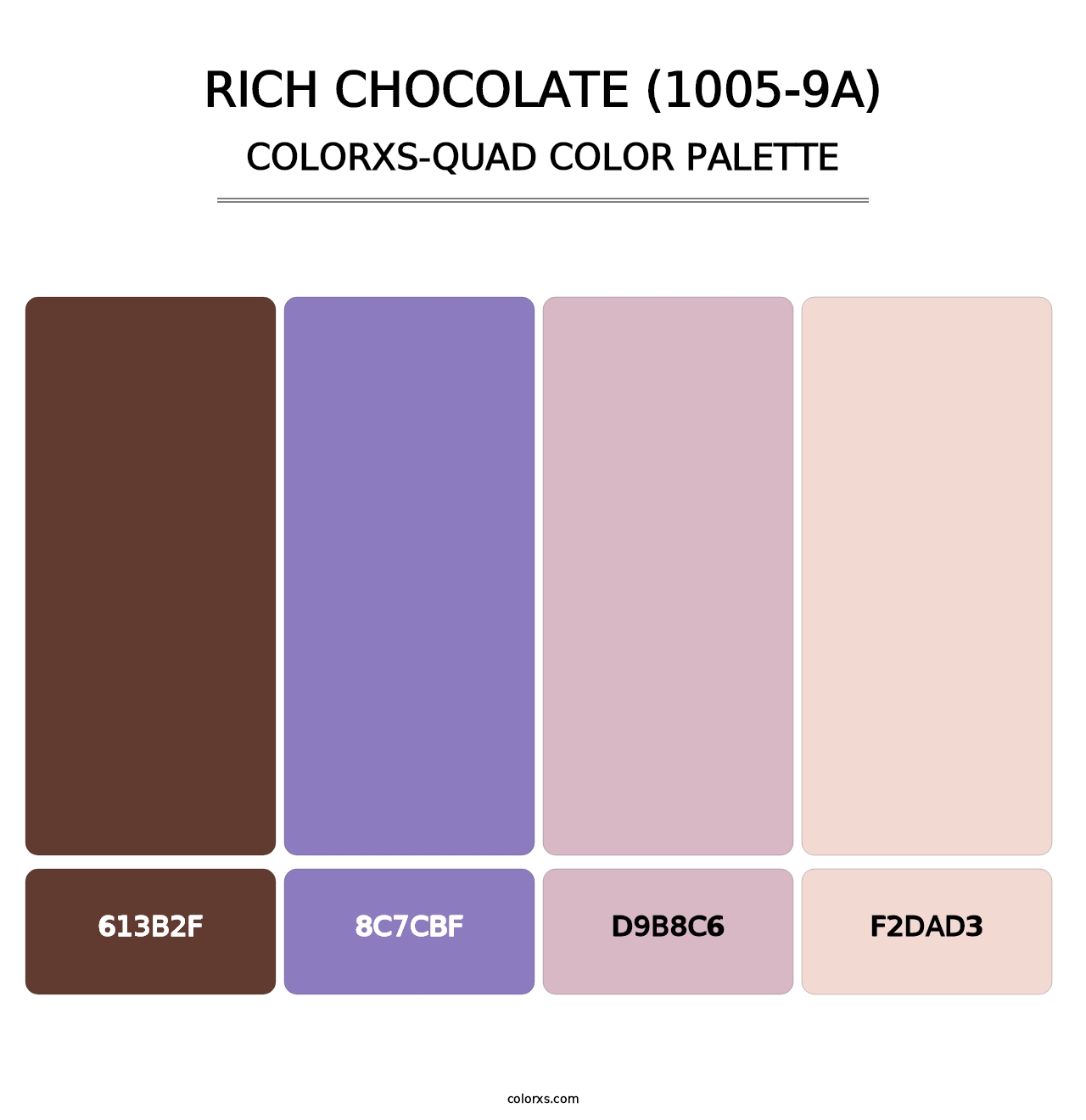 Rich Chocolate (1005-9A) - Colorxs Quad Palette