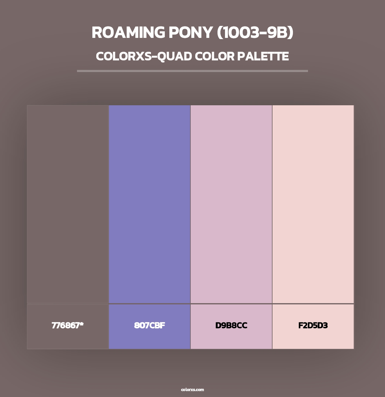 Roaming Pony (1003-9B) - Colorxs Quad Palette