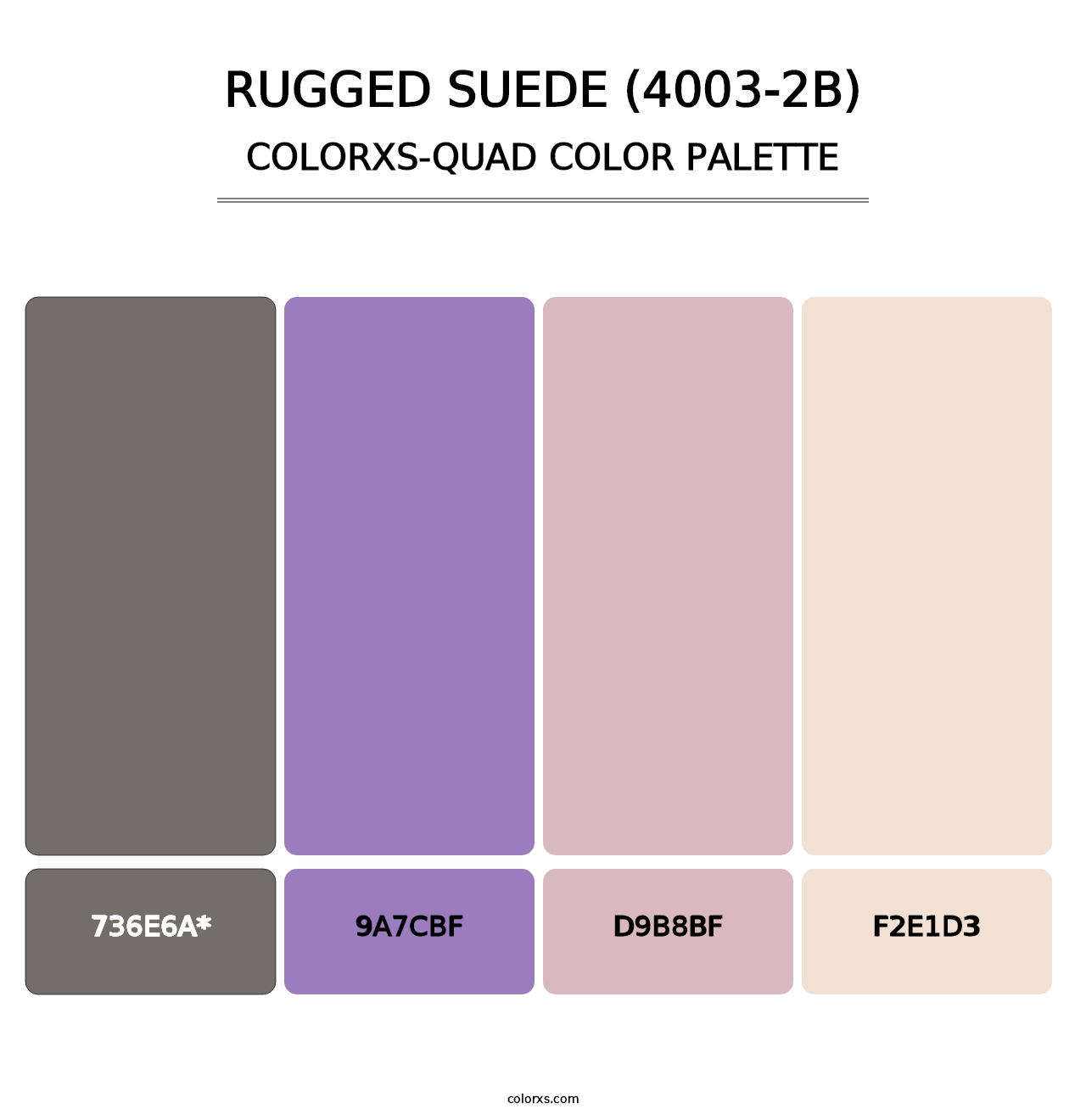 Rugged Suede (4003-2B) - Colorxs Quad Palette