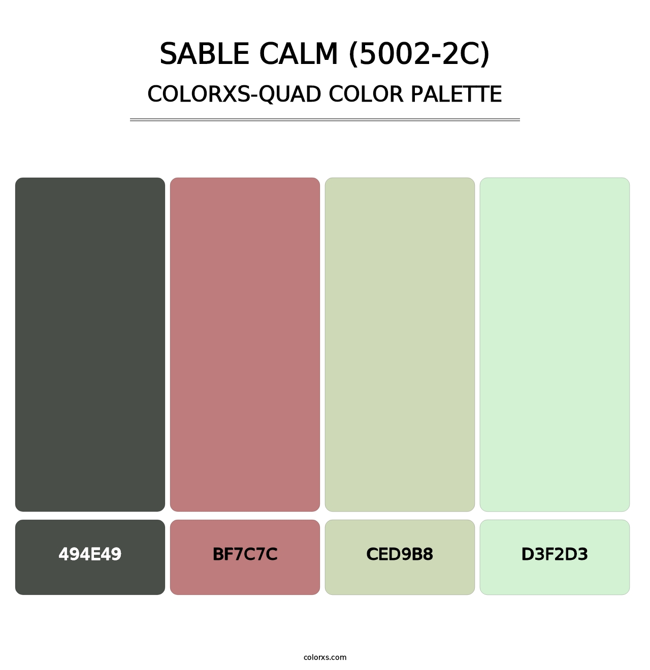 Sable Calm (5002-2C) - Colorxs Quad Palette