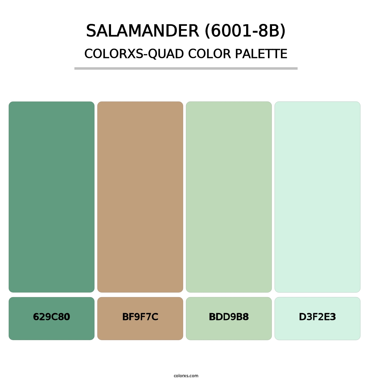 Salamander (6001-8B) - Colorxs Quad Palette