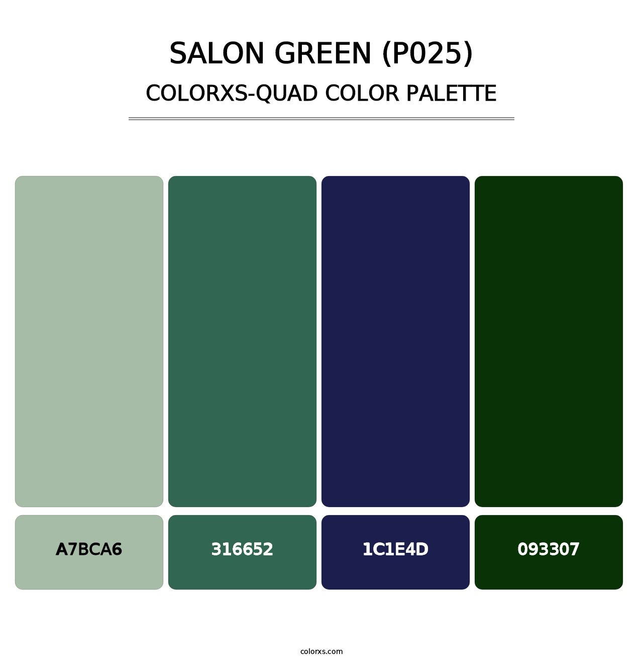 Salon Green (P025) - Colorxs Quad Palette