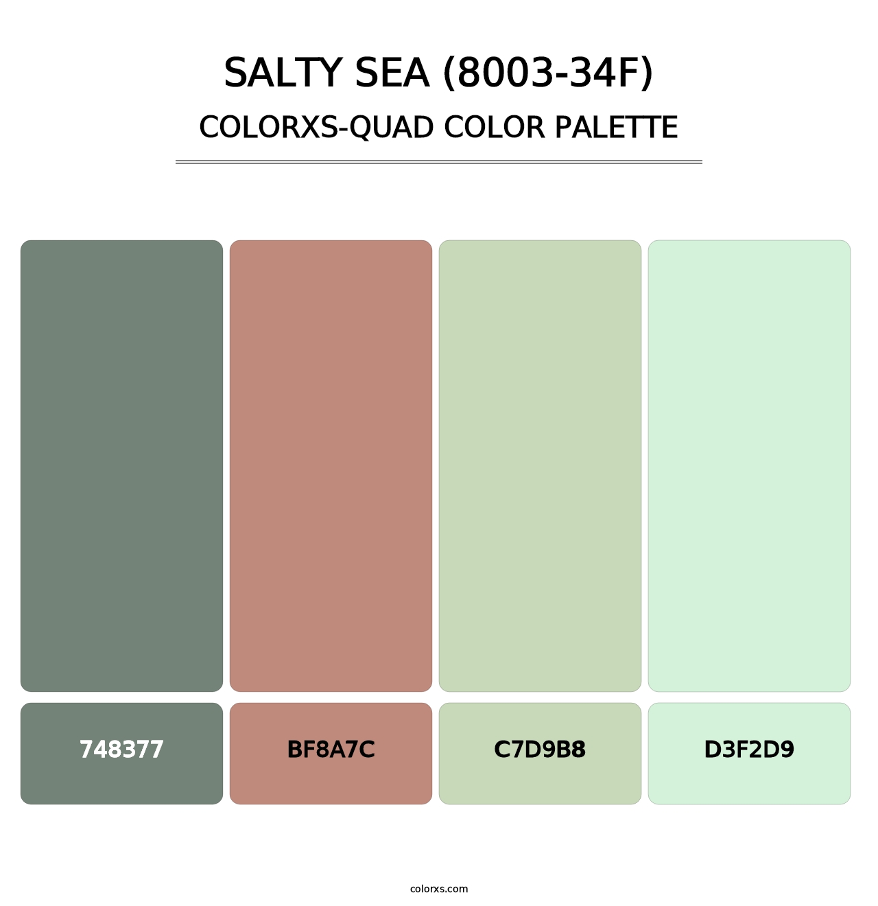 Salty Sea (8003-34F) - Colorxs Quad Palette