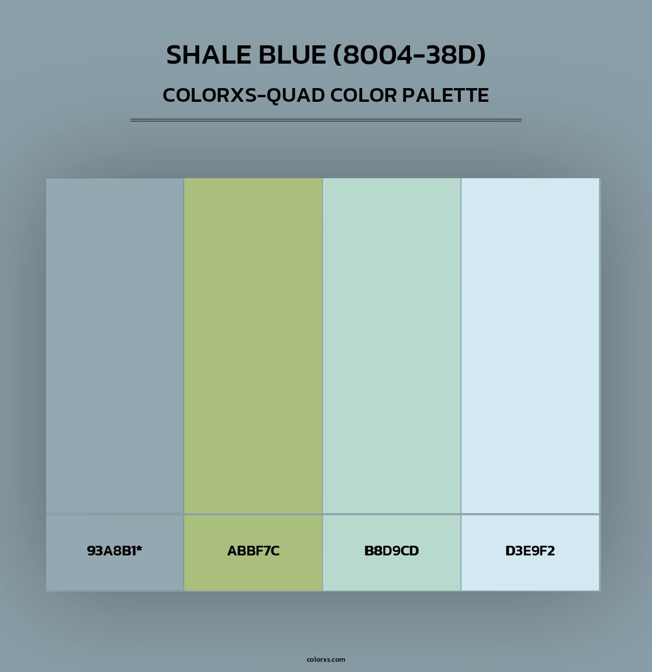 Shale Blue (8004-38D) - Colorxs Quad Palette