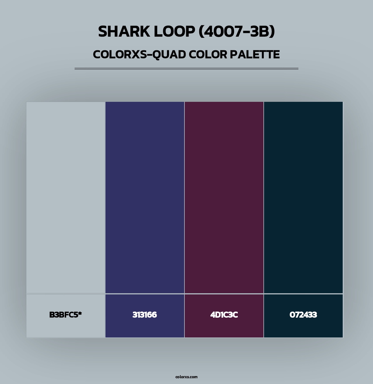 Shark Loop (4007-3B) - Colorxs Quad Palette
