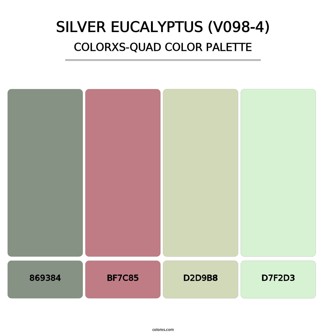 Silver Eucalyptus (V098-4) - Colorxs Quad Palette