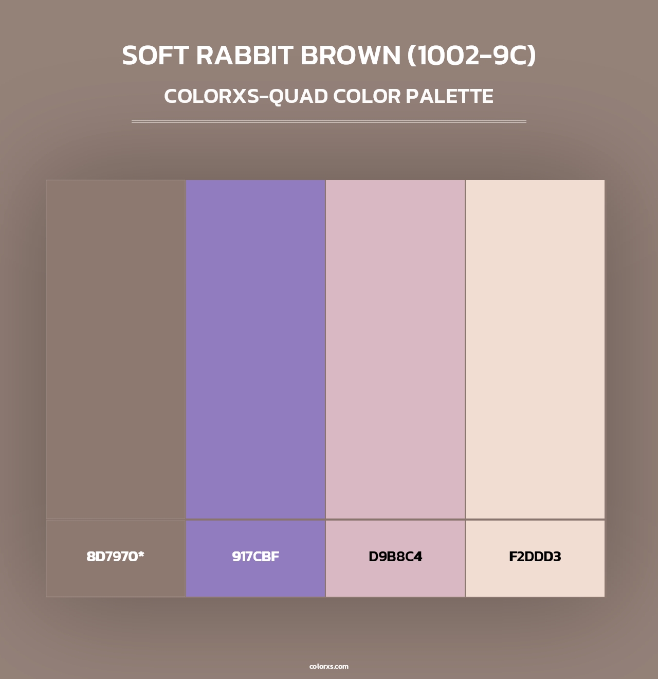 Soft Rabbit Brown (1002-9C) - Colorxs Quad Palette