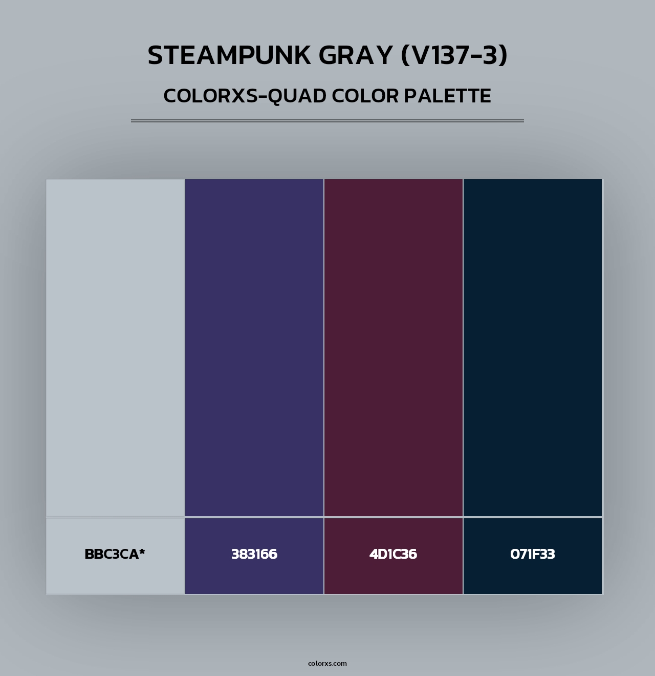 Steampunk Gray (V137-3) - Colorxs Quad Palette