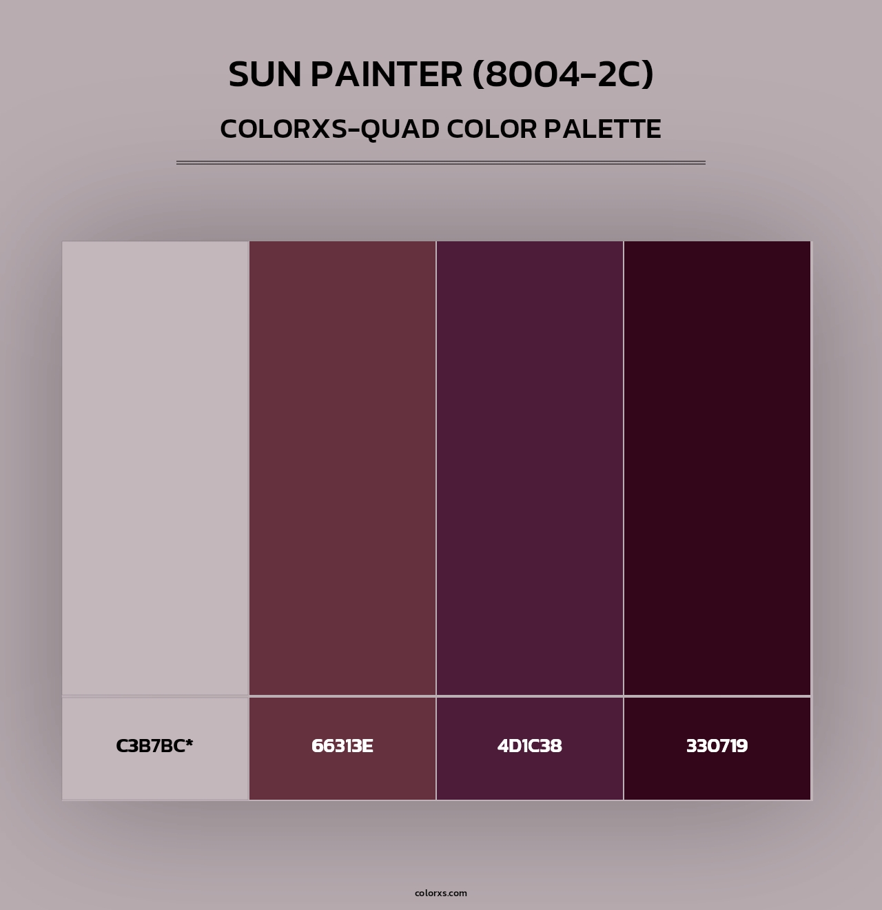 Sun Painter (8004-2C) - Colorxs Quad Palette