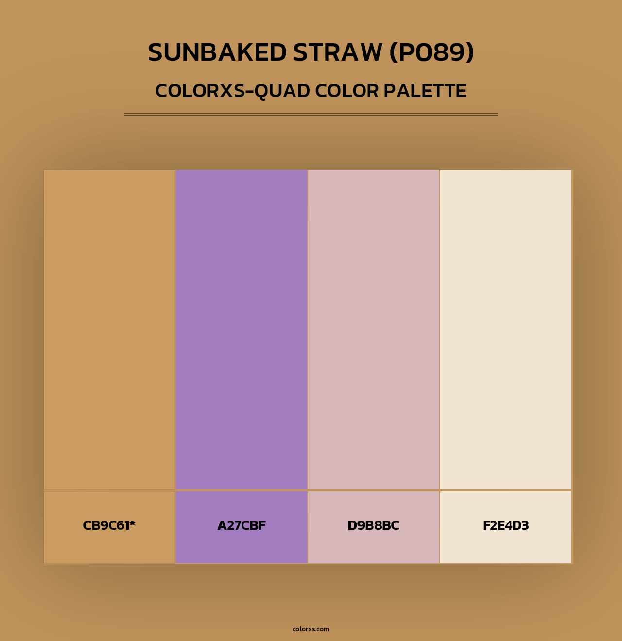 Sunbaked Straw (P089) - Colorxs Quad Palette