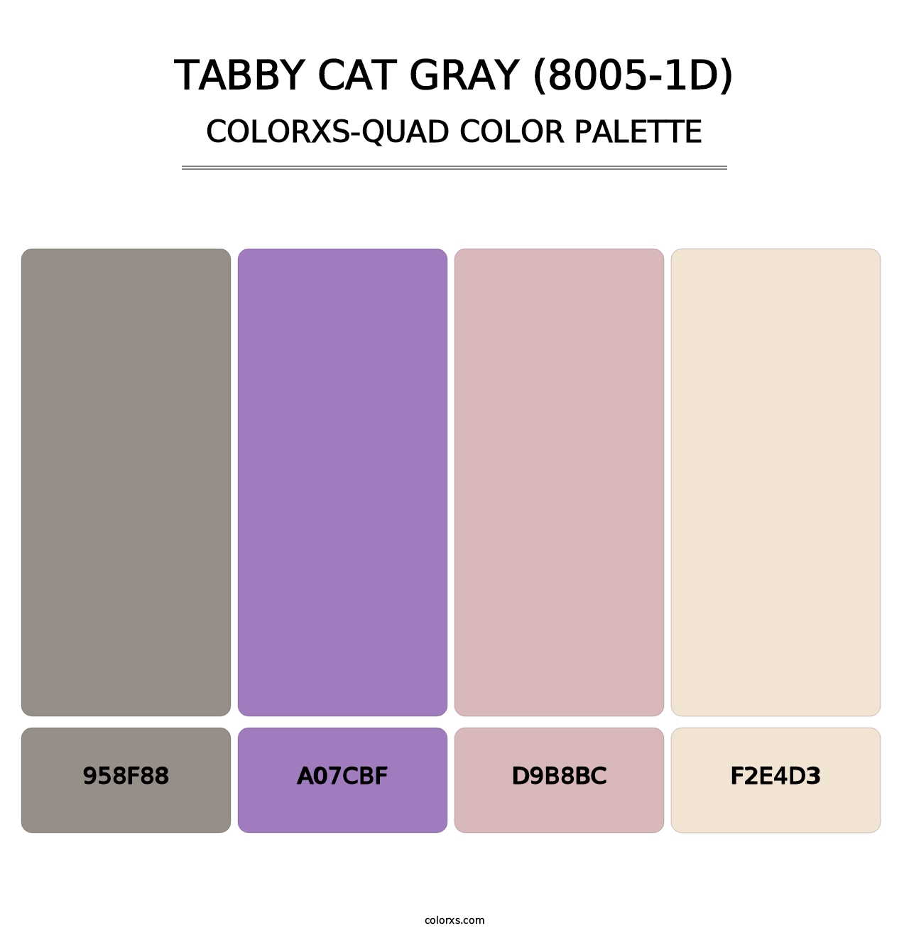 Tabby Cat Gray (8005-1D) - Colorxs Quad Palette