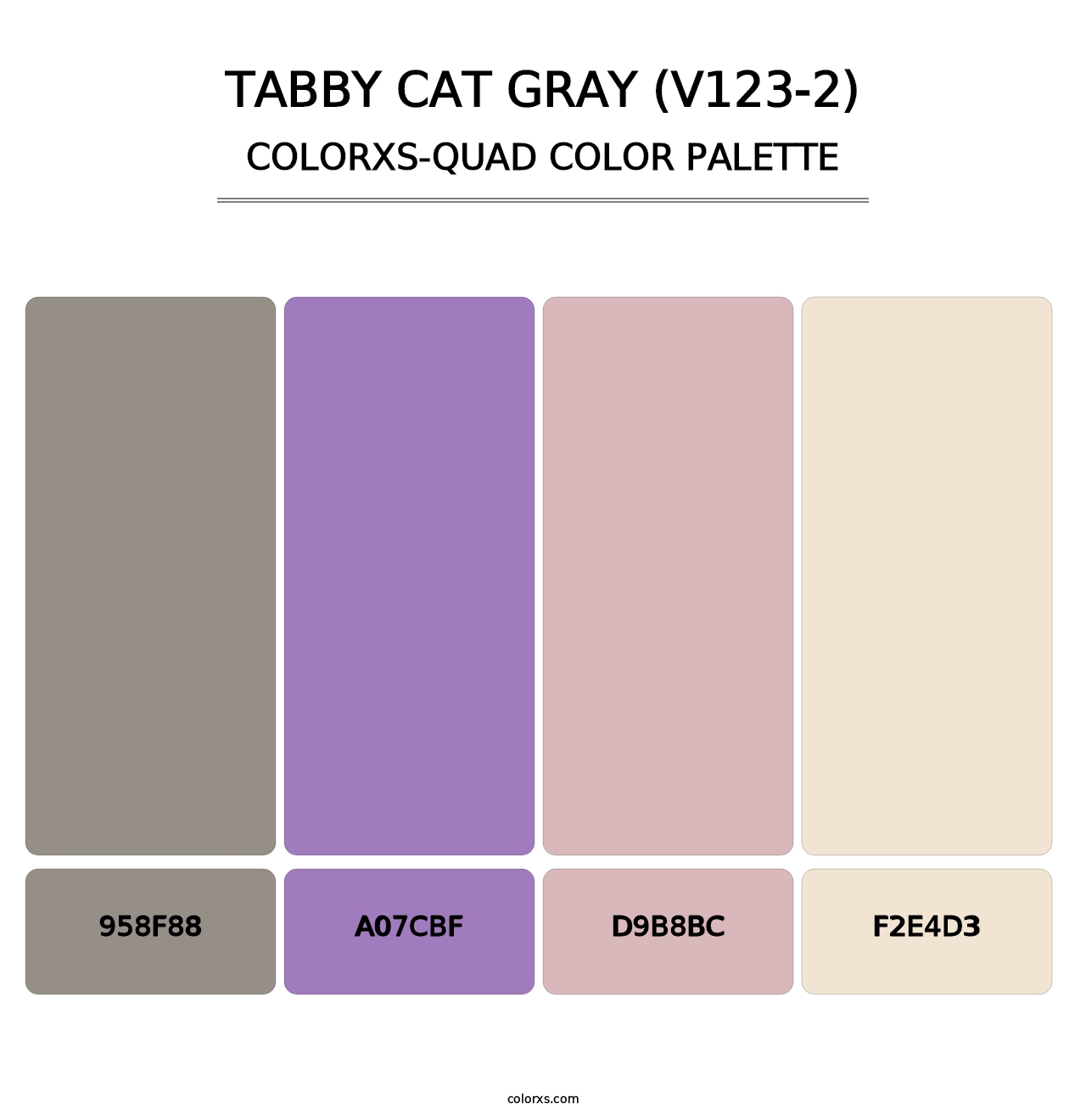Tabby Cat Gray (V123-2) - Colorxs Quad Palette