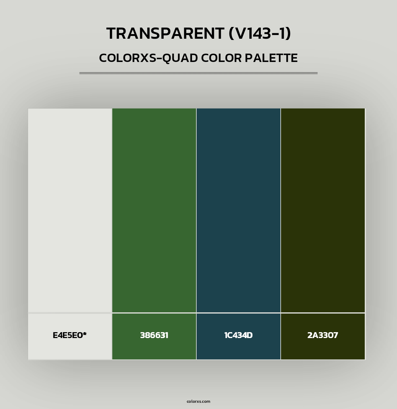 Transparent (V143-1) - Colorxs Quad Palette