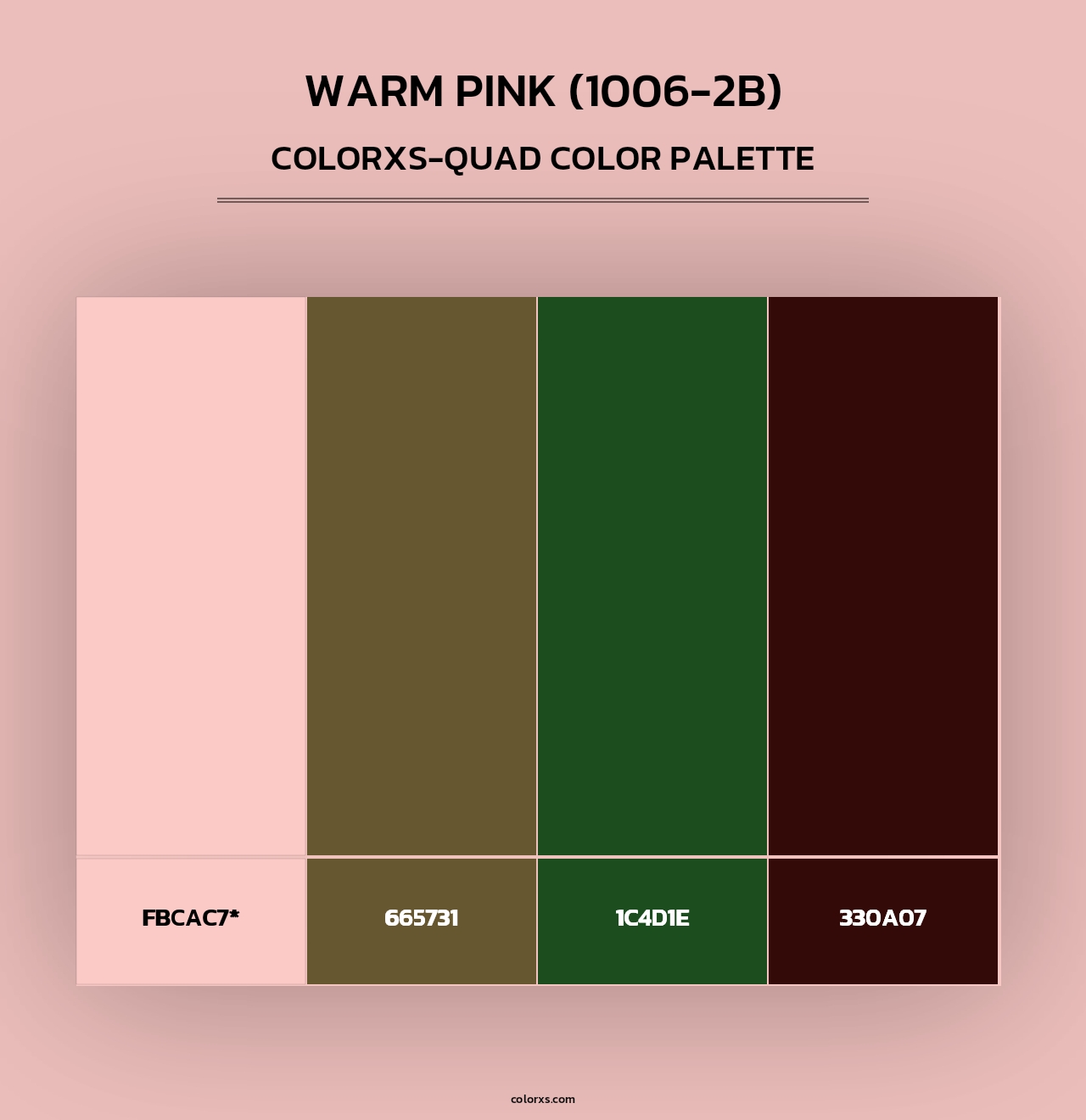 Warm Pink (1006-2B) - Colorxs Quad Palette