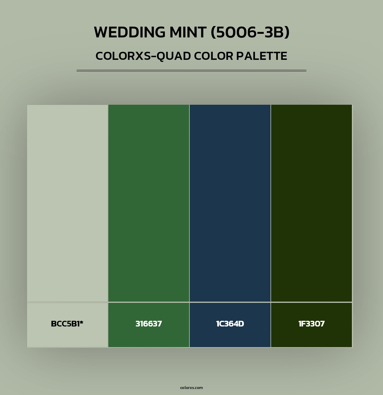Wedding Mint (5006-3B) - Colorxs Quad Palette