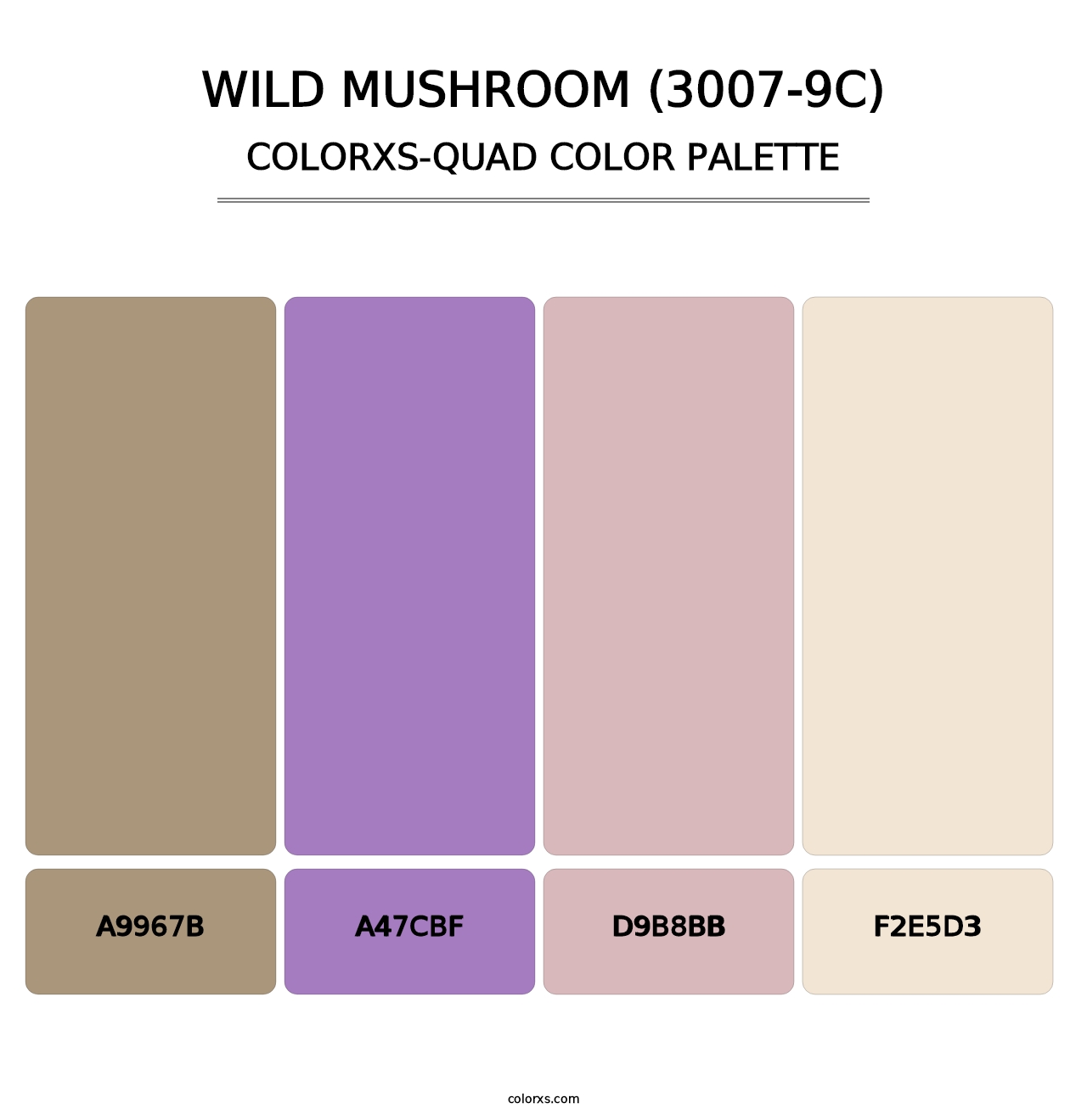 Wild Mushroom (3007-9C) - Colorxs Quad Palette
