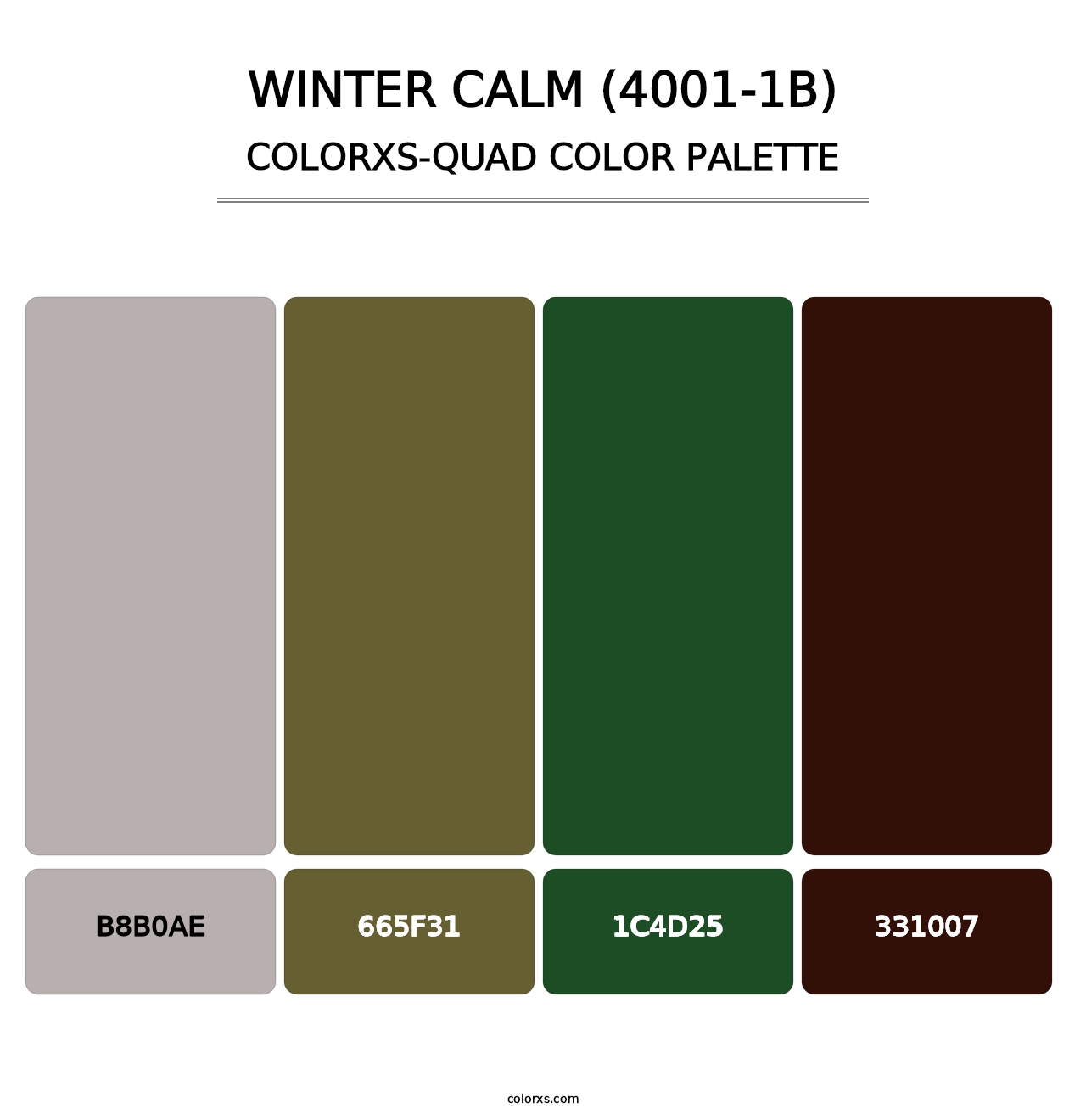 Winter Calm (4001-1B) - Colorxs Quad Palette