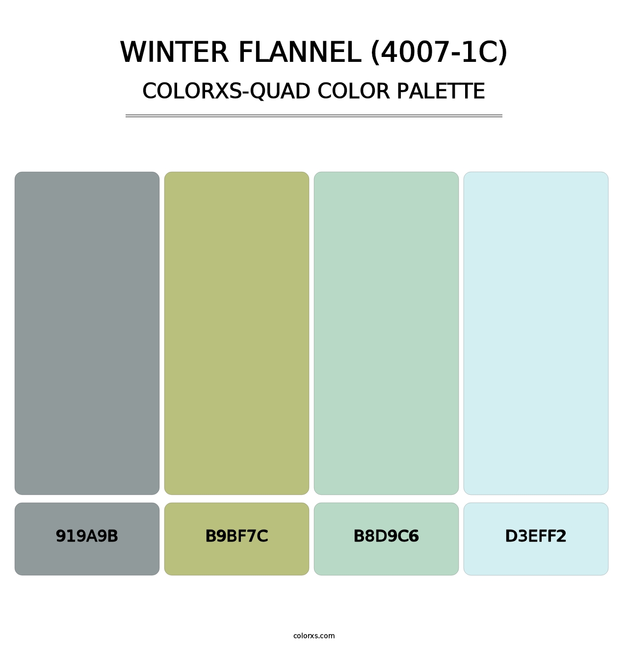 Winter Flannel (4007-1C) - Colorxs Quad Palette