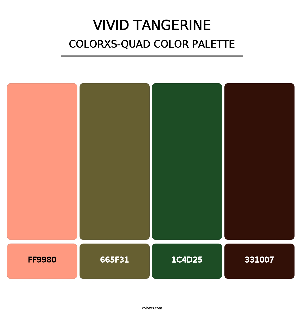 Vivid Tangerine - Colorxs Quad Palette