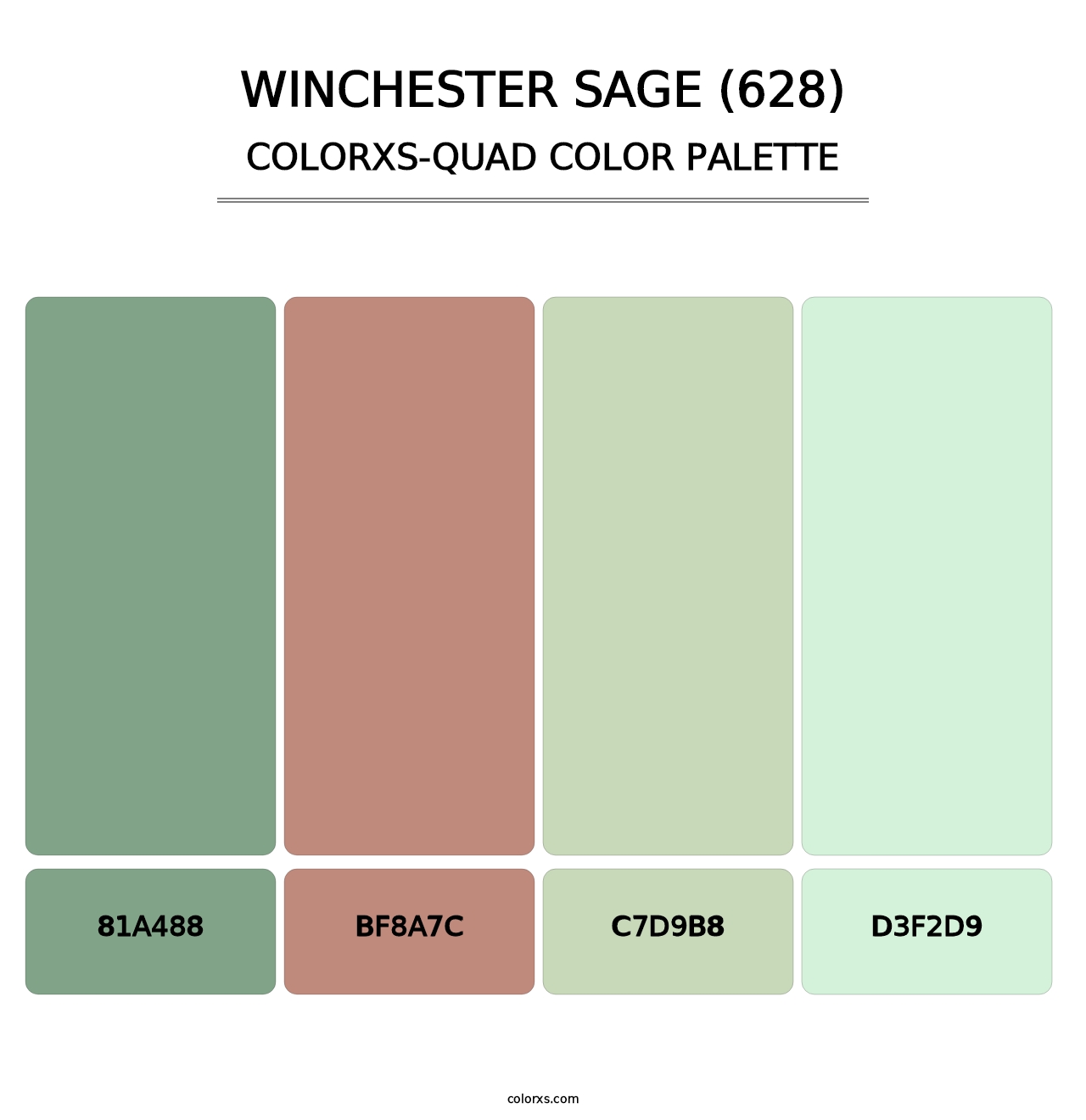 Winchester Sage (628) - Colorxs Quad Palette